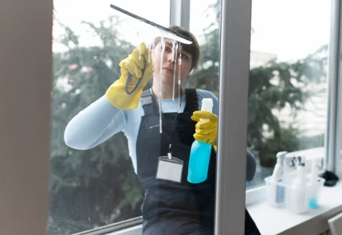 Nettoyage de vitres intérieures et extérieures à Locmélar